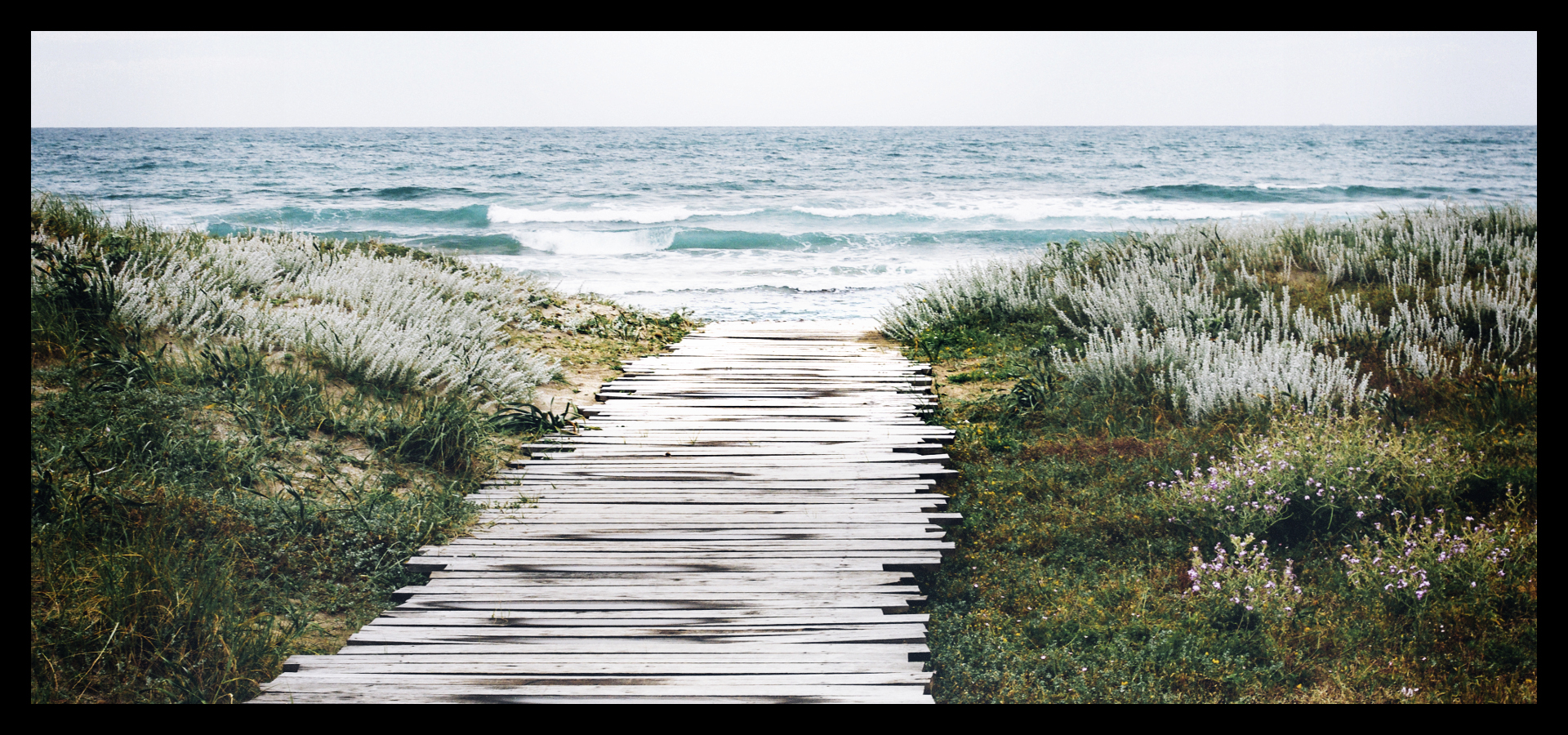 Beginnings…