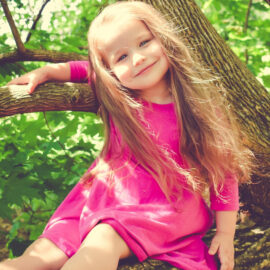 Zusammenhänge verstehen