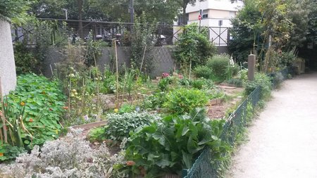 community garden in Paris
