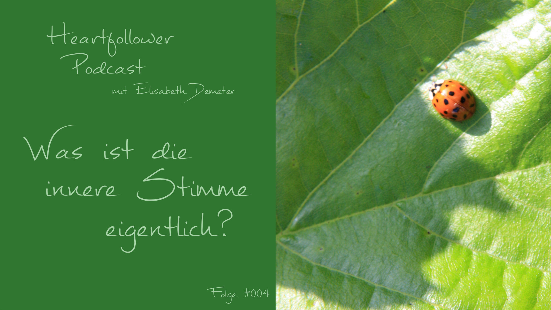 Heartfollower Podcast Image Folge#004