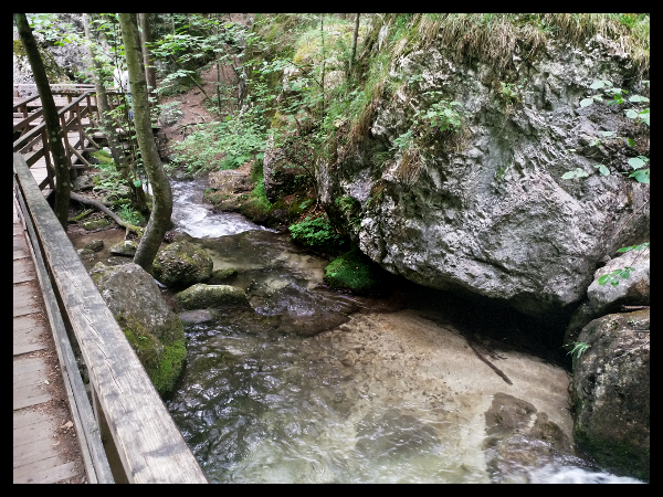 find your clarity: discover your gift