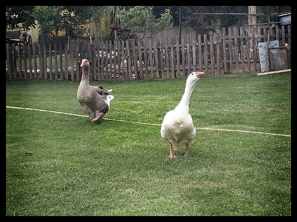 find your clarity: first steps