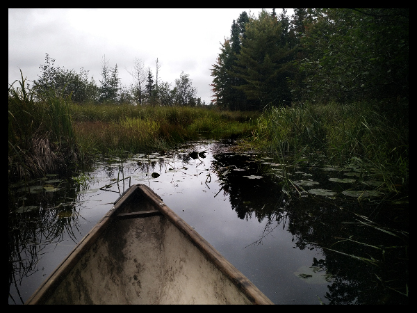 find your clarity: purpose & motivation